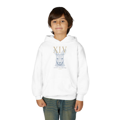 Gildan 18500B Kid hoodie (Keke)