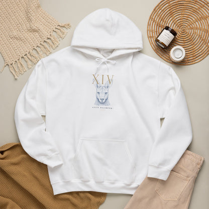 Gildan 18500 hoodie (Keke)