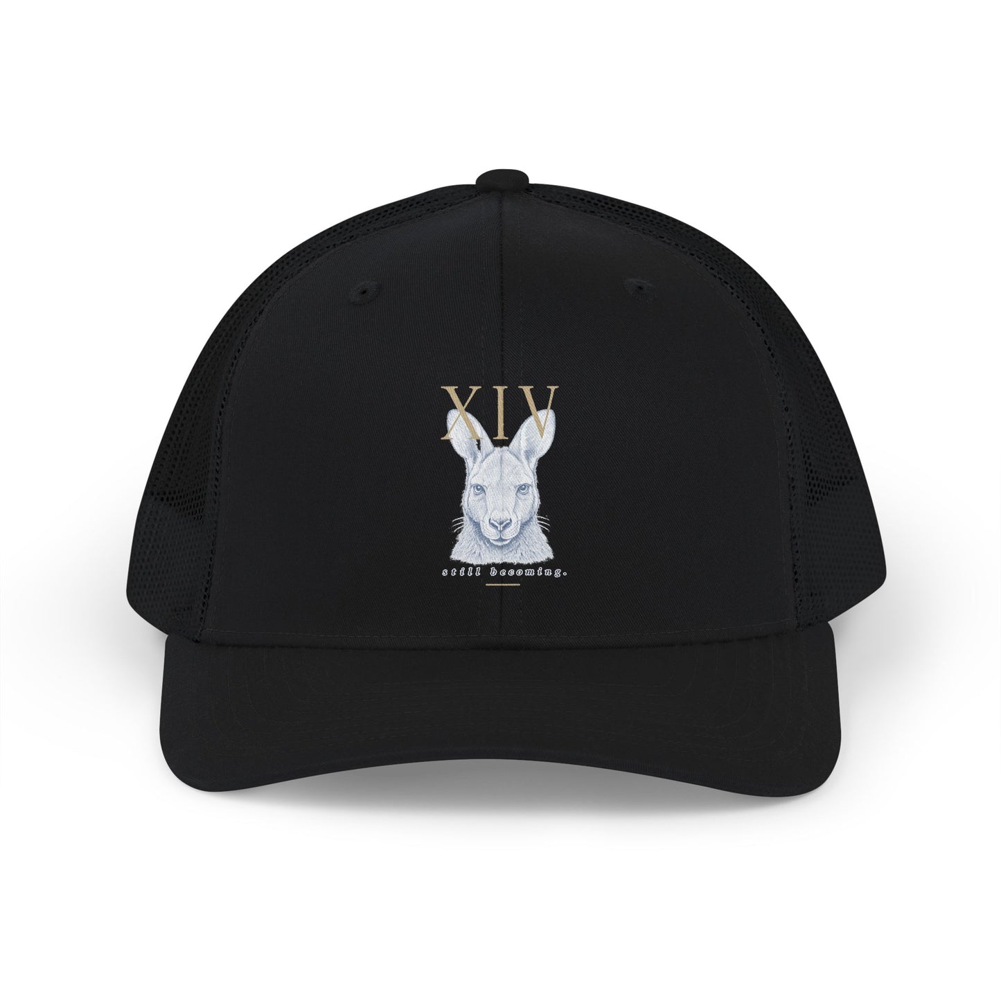 Hat: Richardson 112 (Keke)
