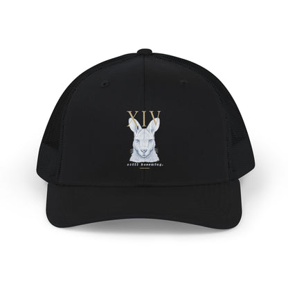 Hat: Richardson 112 (Keke)