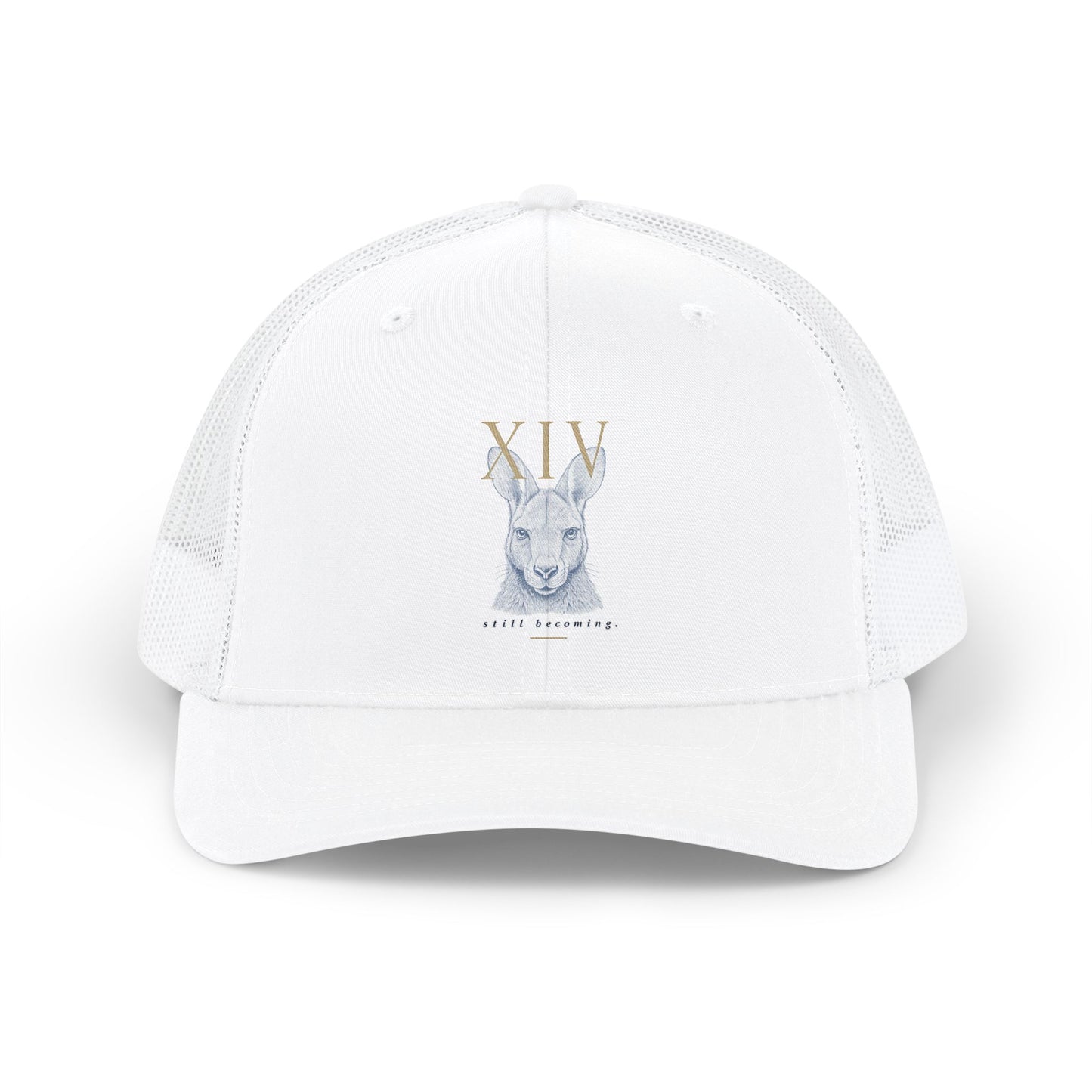 Hat: Richardson 112 (Keke)