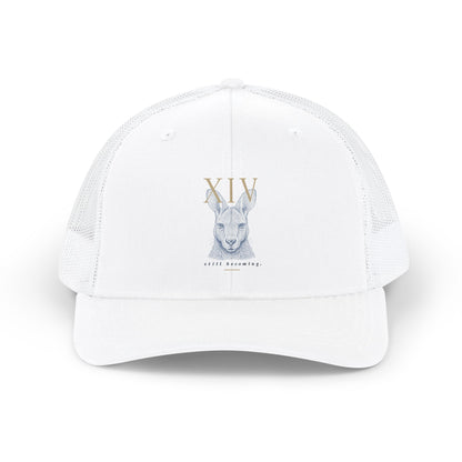 Hat: Richardson 112 (Keke)