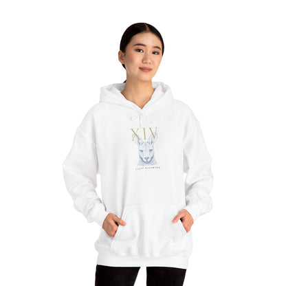 Gildan 18500 hoodie (Keke)