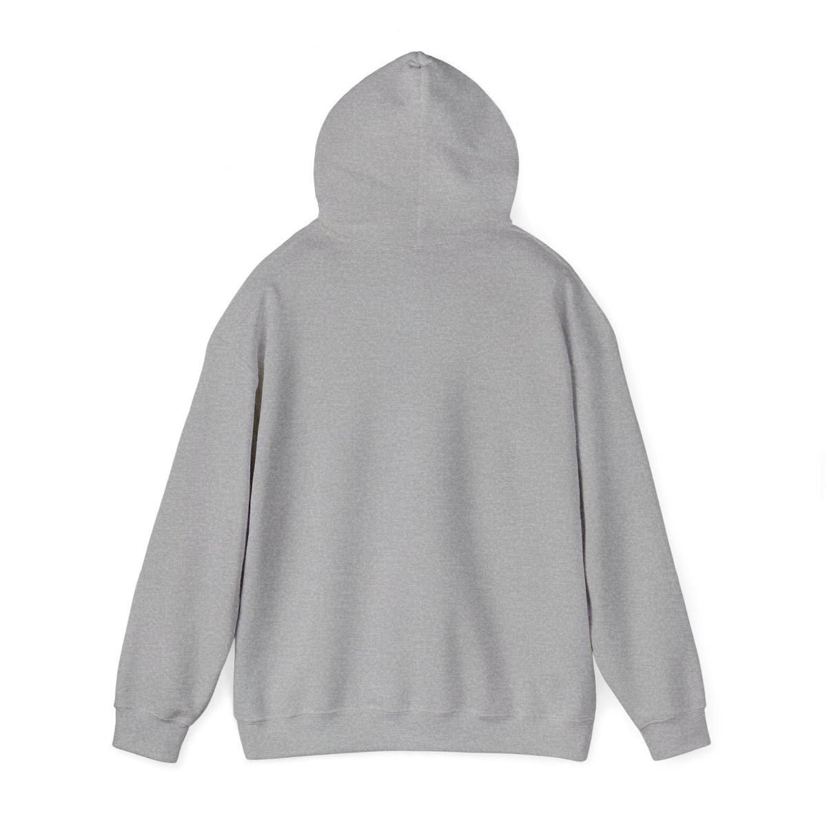 Gildan 18500 hoodie (Taegan)