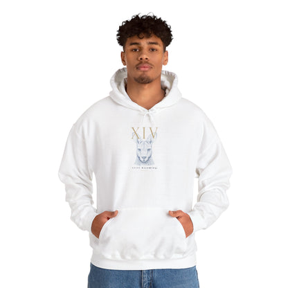 Gildan 18500 hoodie (Keke)
