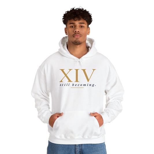 Gildan 18500 hoodie (Keke)