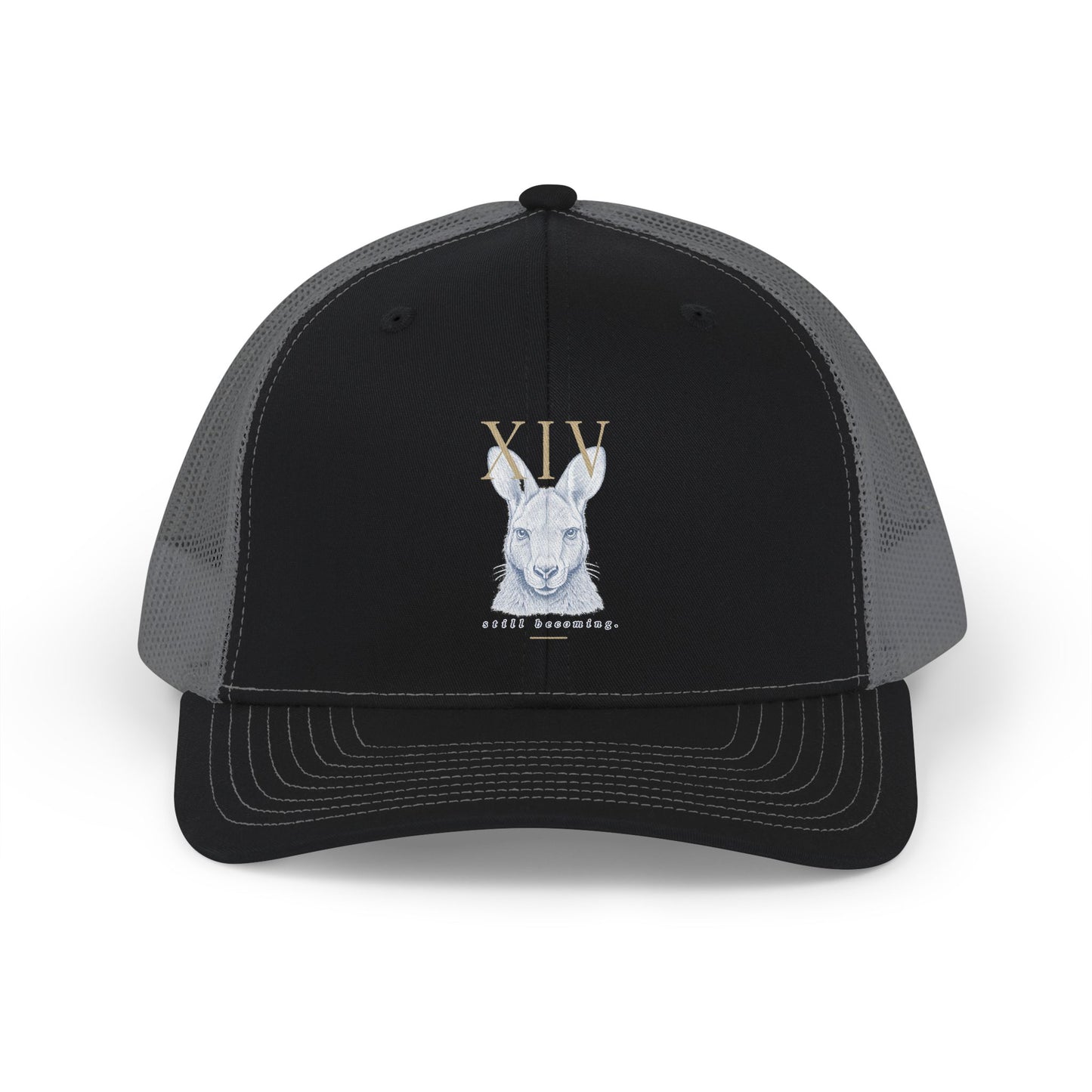 Hat: Richardson 112 (Keke)